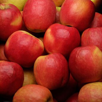 Image de Pomme Cripps Pink, PINK LADY, calibre 136/165, catégorie 1, Chili, barquette 6