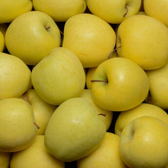 Image de Pomme Golden Delicious, calibre 170/220, catégorie 1, France à la