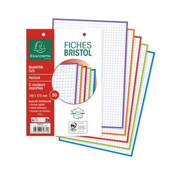 Image de Fiche bristol perforée 205g 14,8x21cm 5x5