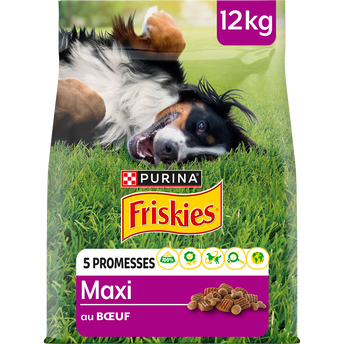 Image de Croquettes pour chien Maxi Boeuf FRISKIES