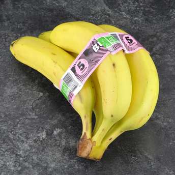 Image de Banane Cavendish, BIO, Calibre 14cm mini, Catégorie 2, Côte d'Ivoire,Ruban 5