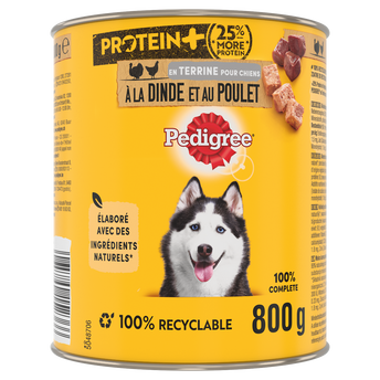 Image de Boîte chien en terrine à la dinde et au poulet PEDIGREE