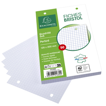 Image de Fiche perforée BRISTOL 125x20cm blanche 50 unités sous