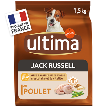 Image de Croquettes pour chiens Jack Russell ULTIMA
