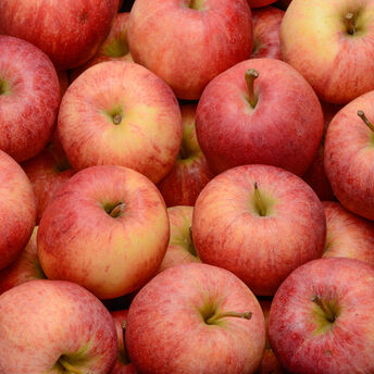 Image de Pomme Gala, calibre 136/200, catégorie 1, France à la