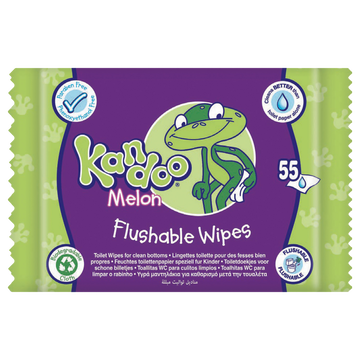 Pampers Lingettes Parfum Melon Pamper Kandoo, 55 Recharges