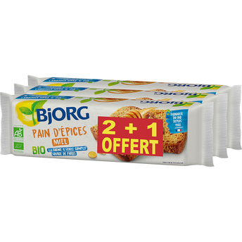 Image de Pain d'épice bio miel BJORG