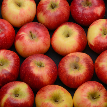 Image de Pomme Reine des reinettes, calibre 170/220, catégorie 1, France à la
