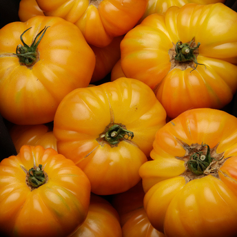 Image de Tomate côtelée, segment Les côtelées, jaune, ananas, catégorie 2, France 600