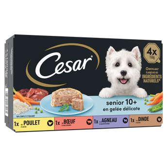 Image de Barquettes chien sénior en gelée CESAR