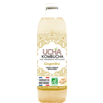 Image de Thé fermenté pétillant Gingembre energy KOMBUCHA, bouteille