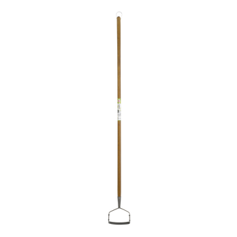 Image de 