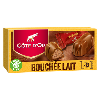 Image de Bouchées chocolat lait noisetes amandes COTE D'OR - Boîte de
