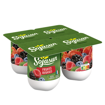 Image de Spécialité au soja sucrée fruits rouges SOJASUN