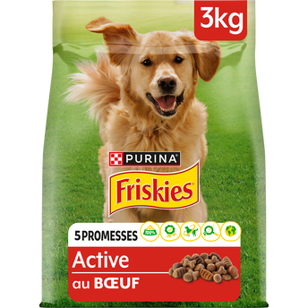 Image de Croquettes pour chien adulte Active Boeuf FRISKIES