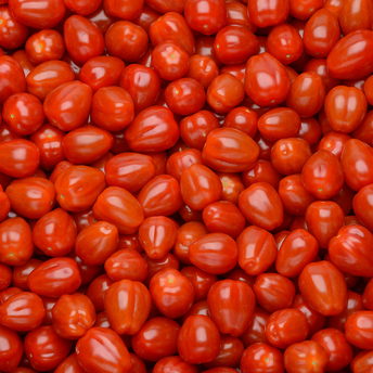 Image de Tomate cerise, segment Les cerises allongées, catégorie Extra, France 300