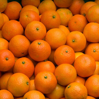 Image de Mandarine Clémenvilla, BIO, calibre 4/5, catégorie 2, Espagne, filet