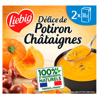 Image de Soupe Délice de potiron et châtaignes France LIEBIG briques