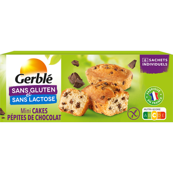 Image de Cake Pépites Chocolat Sans Gluten GERBLE  -  230
