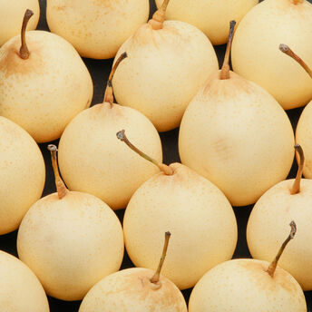 Image de Poire Nashi, calibre 75/80, Chine 500
