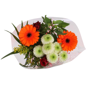 as Bouquet Avila, 9 Tiges, Hauteur 50cm, Pays-bas