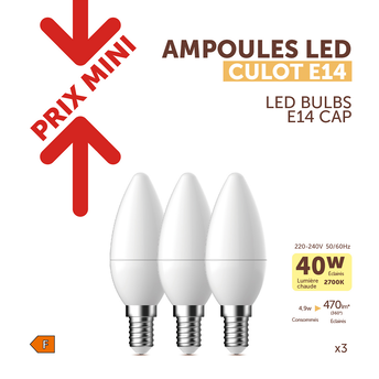 Image de Ampoule LED flamme PRIX MINI 40w e14