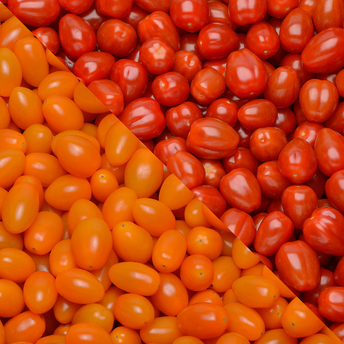Image de Tomate cerise, segment Les cerises allongées, catégorie 1, Maroc, barquette