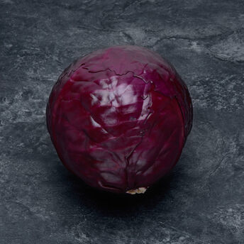 Image de Chou rouge, France, la