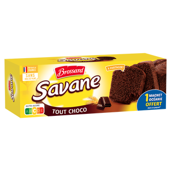 Image de Gâteau marbré SAVANE Tout chocolat noir BROSSARD