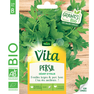 Persil Graines De Persil Geant D'italie Bio À Semer