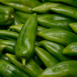 POIVRON VERT CORNE D BOEUF BIO - Super U, Hyper U, U Express - www ...