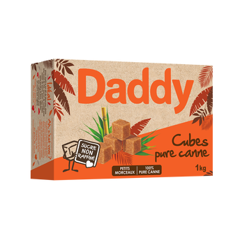 Image de Sucre pure canne non raffiné petits morceaux DADDY