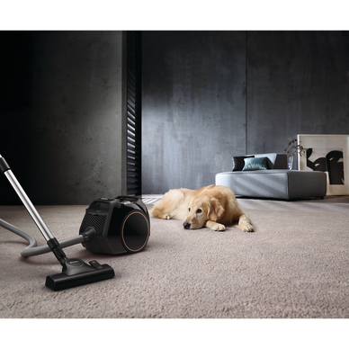 Aspirateur sans sac action best sale