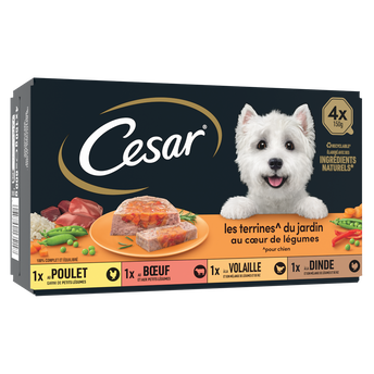 Image de Barquettes chien Les terrines du jardin en gelée CESAR