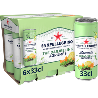 Image de Boisson Gazeuse aromatisée Agrumes Thé SAN PELLEGRINO MOMENTI