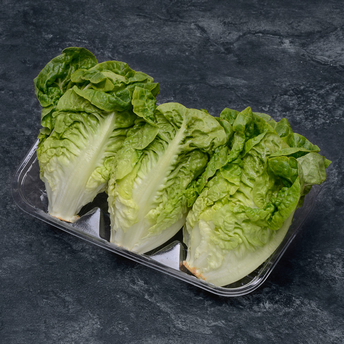 Image de Salade sucrine, catégorie 1, Espagne, barquette 3