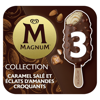 Image de Bâtonnets glacés MAGNUM caramel