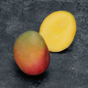 Image de Mangue kent, Pérou, la