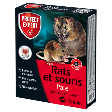 Les meilleurs Raticides : Tous les poisons pour tuer le Rat