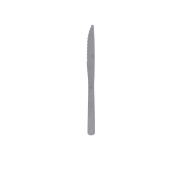Image de Couteau Premier prix Saturne en inox