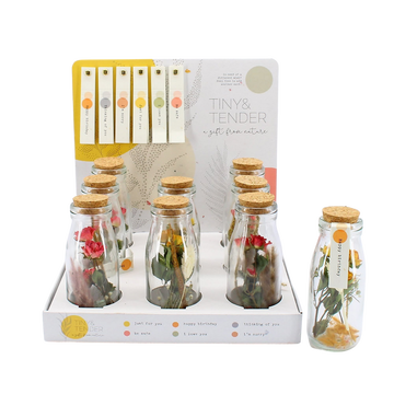 as Fleurs Sechées, En Bouteille Verre 5cm, Moyen Modèle, Hauteur 14cm, Pays-b