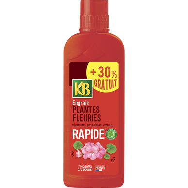 Bâtonnets Nutritifs KB Pour Plantes Fleuries - Engrais Pratique Et Efficace