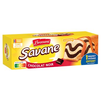 Image de Gâteau marbré SAVANE chocolat noir familial BROSSARD
