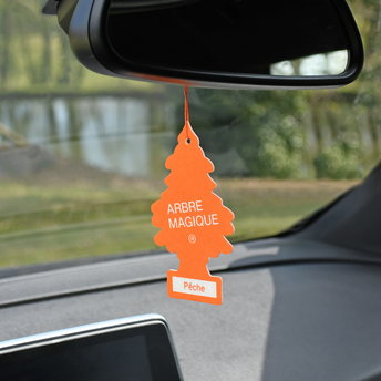 Image de Désodorisant voiture ARBRE MAGIQUE parfum