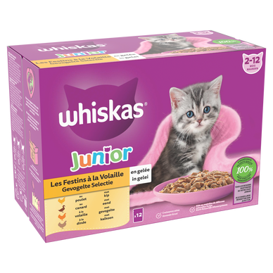 Whiskas - Repas en Gelée Junior aux pour Chaton - Whiskas - 12x100g -  Alimentation humide pour chat - Rue du Commerce