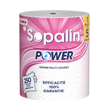 Image de Essuie-tout power SOPALIN 250