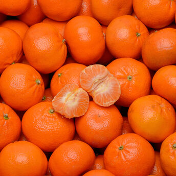 Image de Mandarine Nadorcott, BIO, calibre 4/5, catégorie 2, Espagne, filet