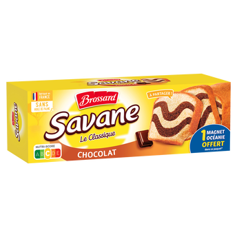 Image de Gâteau marbré SAVANE chocolat familial BROSSARD