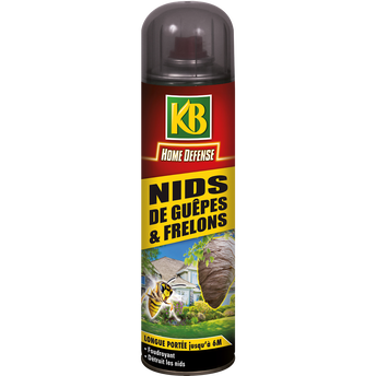 Image de Aérosol nid guêpe et frelon KB