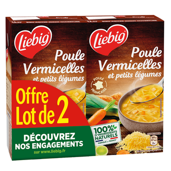 Image de Potage poule aux pot vermicelles LIEBIG brique